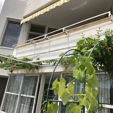 вангелов דירה